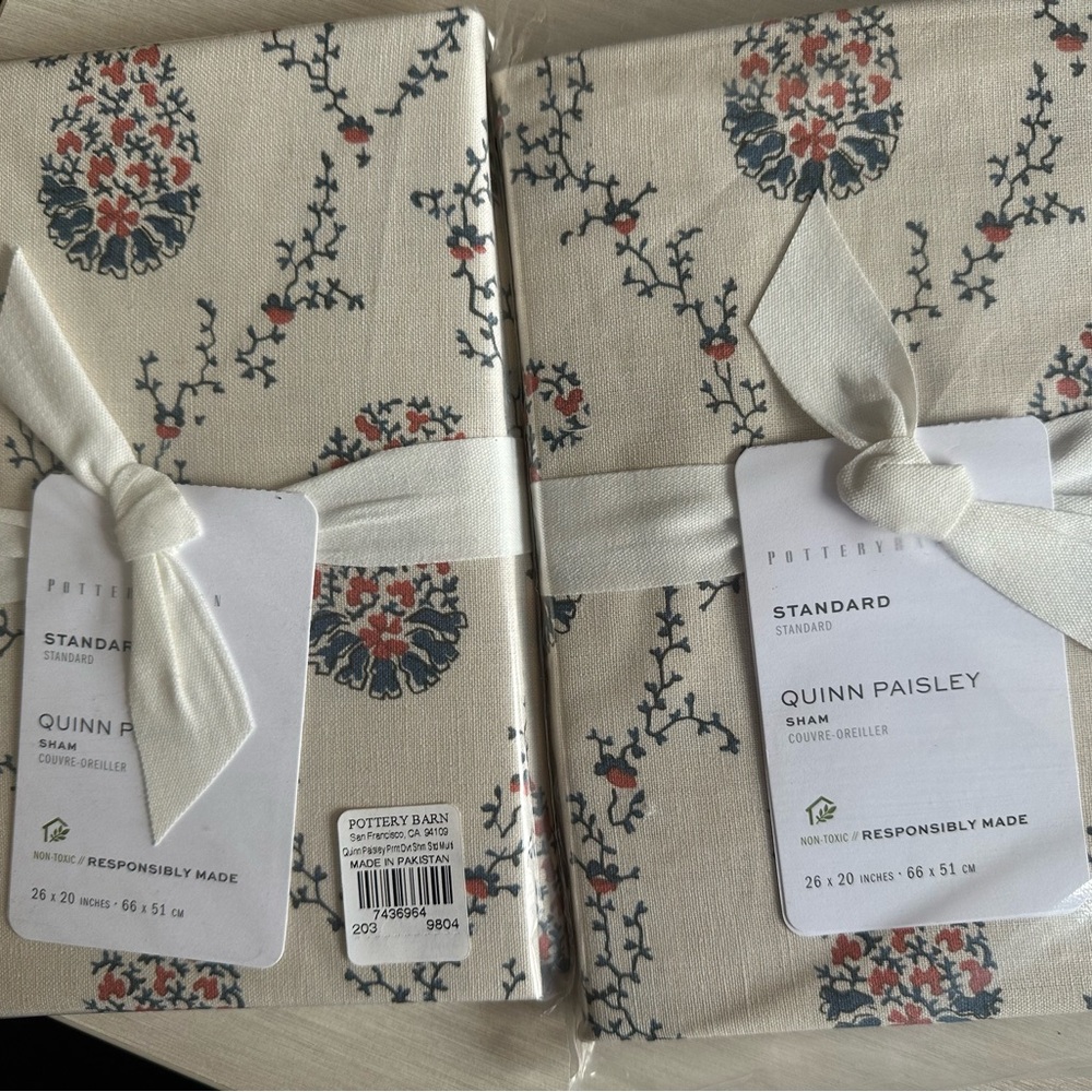 Pottery Barn Shams - set of 2